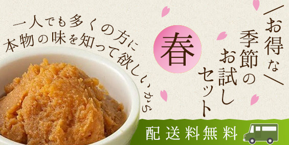 春セット